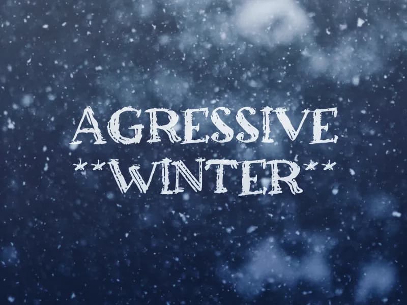 a Agressive Winter