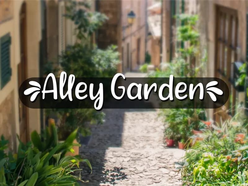 a Alley Garden