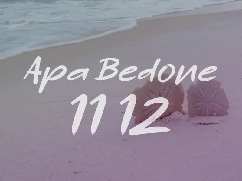 a Apa Bedone 11 12