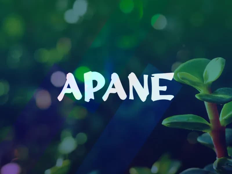 a Apane