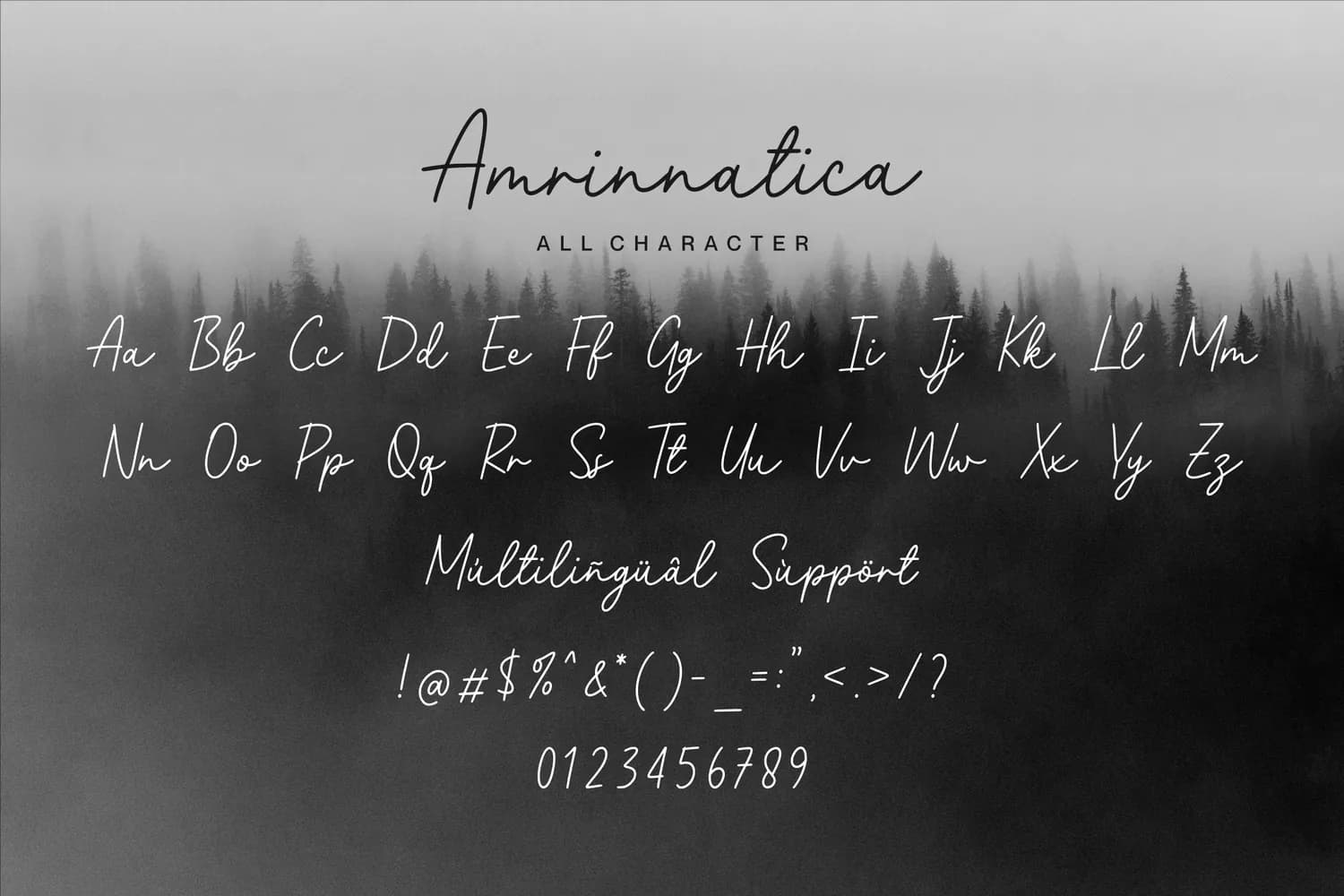 Amrinnatica