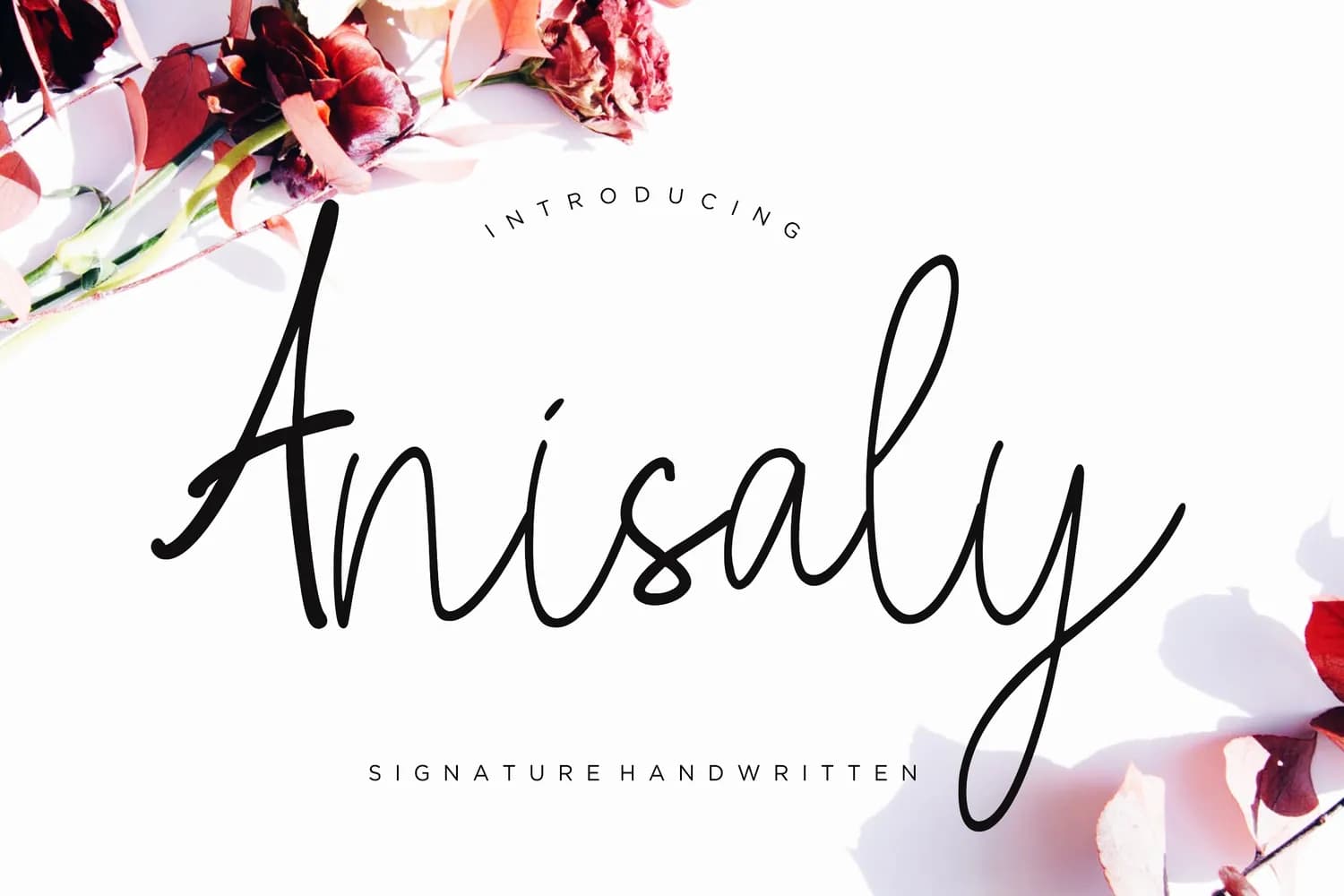 Anisaly