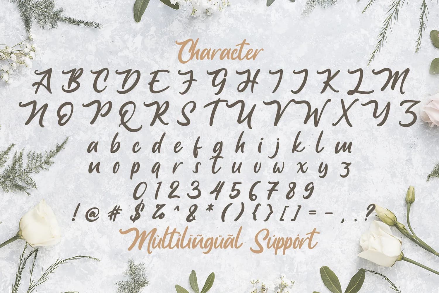 Anjelica Script