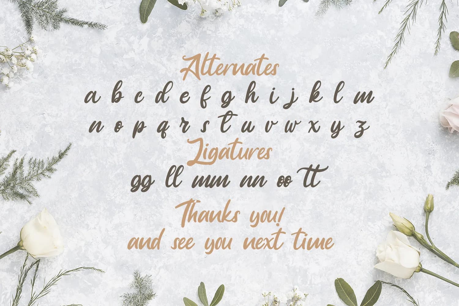 Anjelica Script