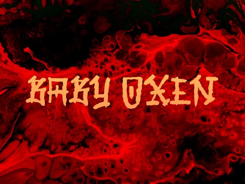 b Baby Oxen