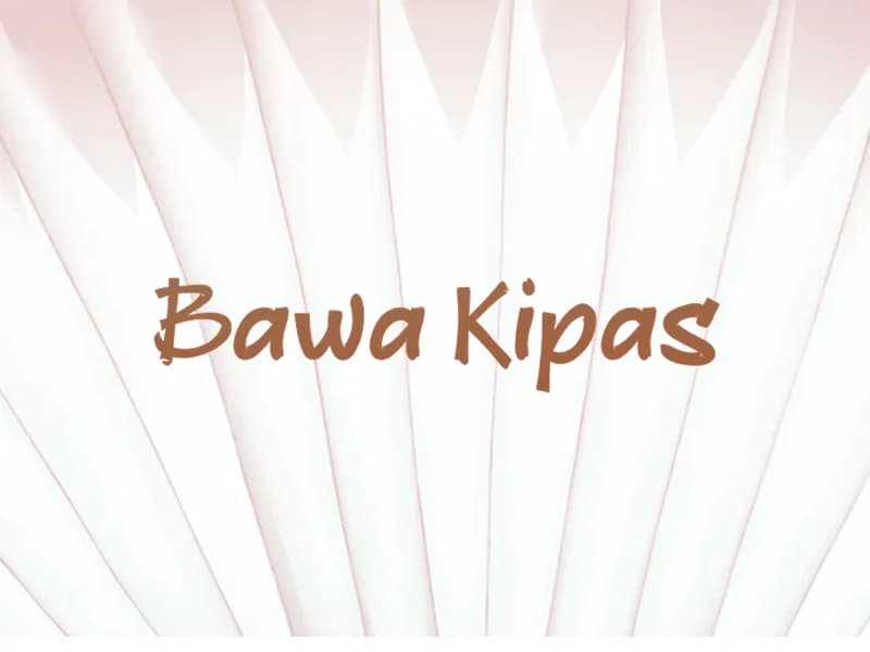 b Bawa Kipas