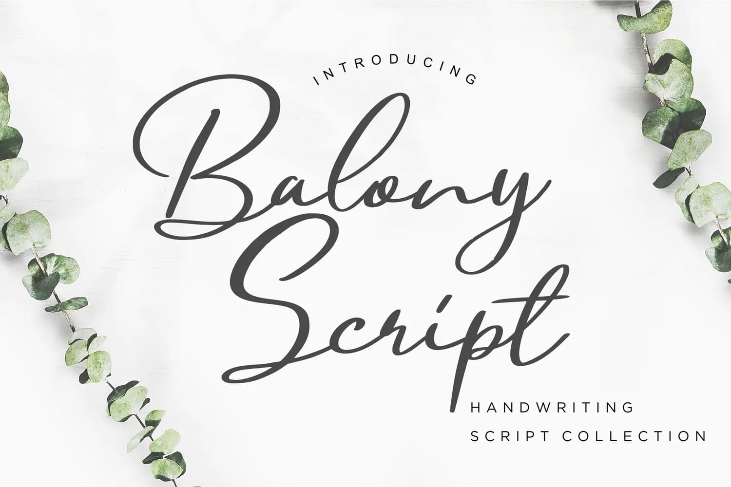 Balony Script