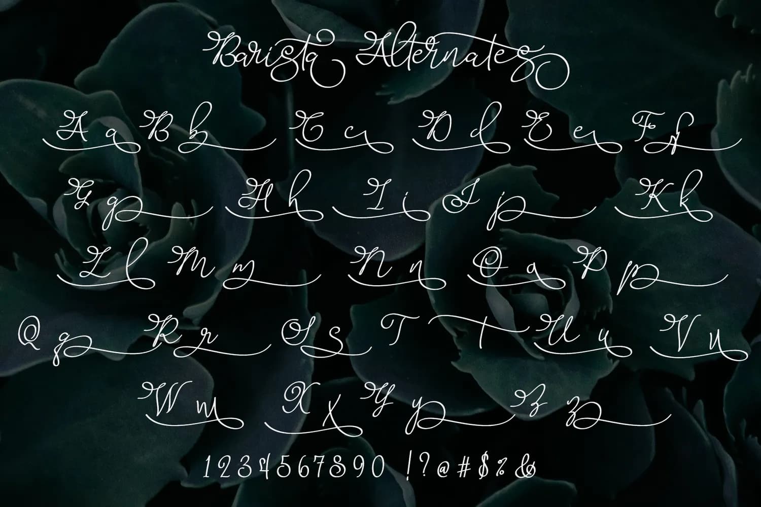 Barista Script