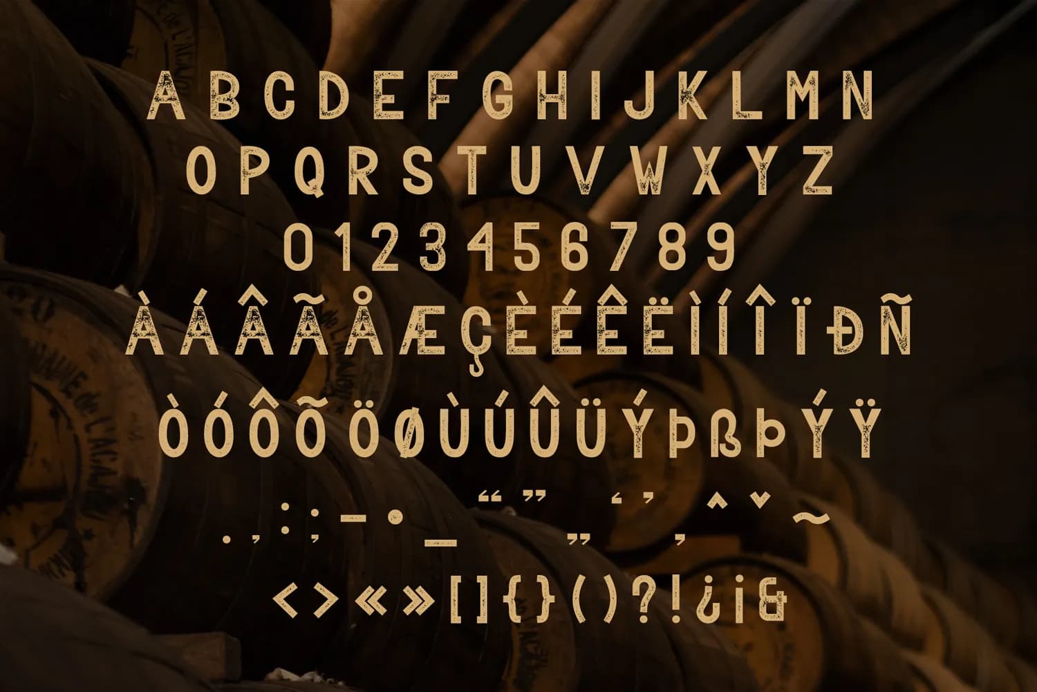 Bavalor Reg