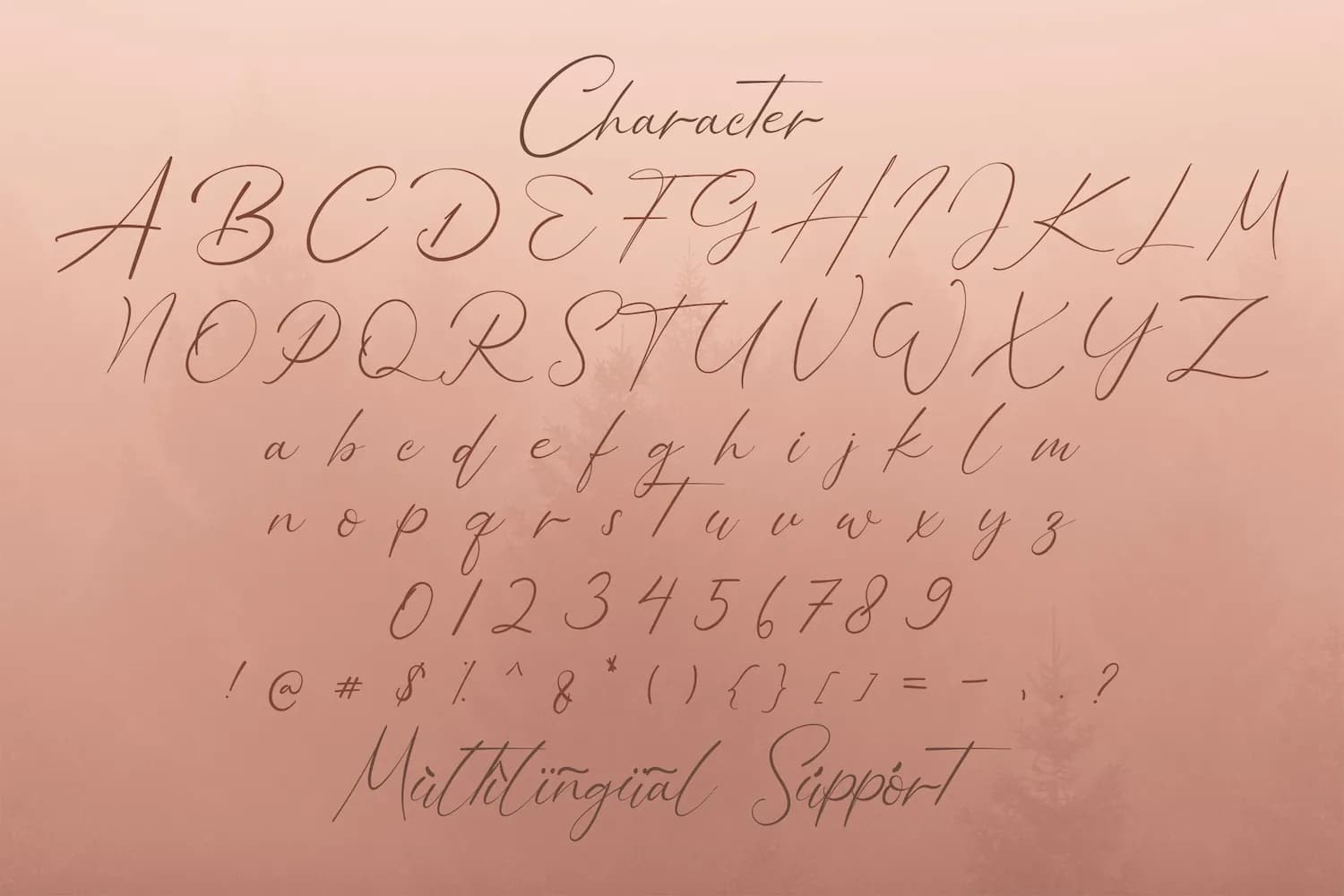 Bellamy Signature