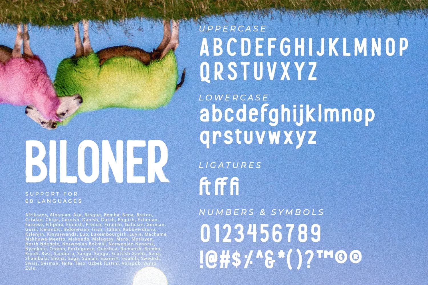 Biloner