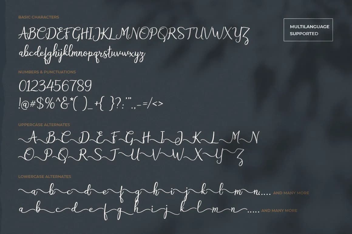 Bryan Letter