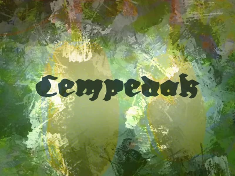 c Cempedak
