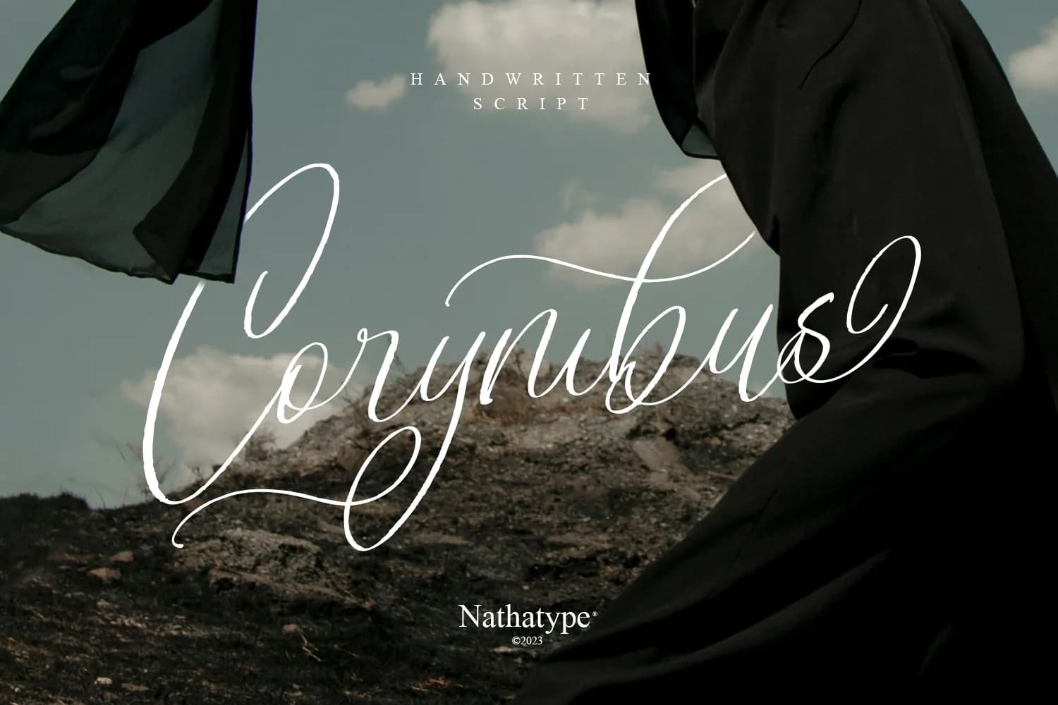 Corymbus