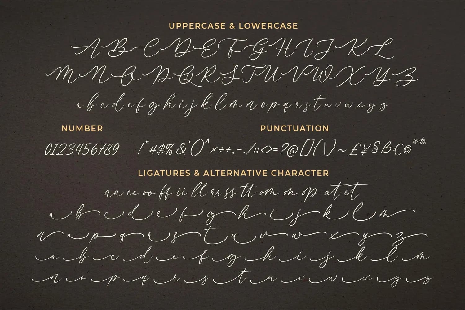 Crafter Signature Serif