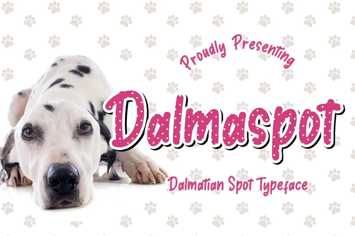 Dalmaspot