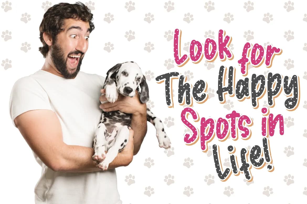 Dalmaspot