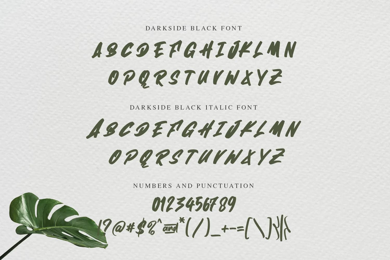 Darkside Black