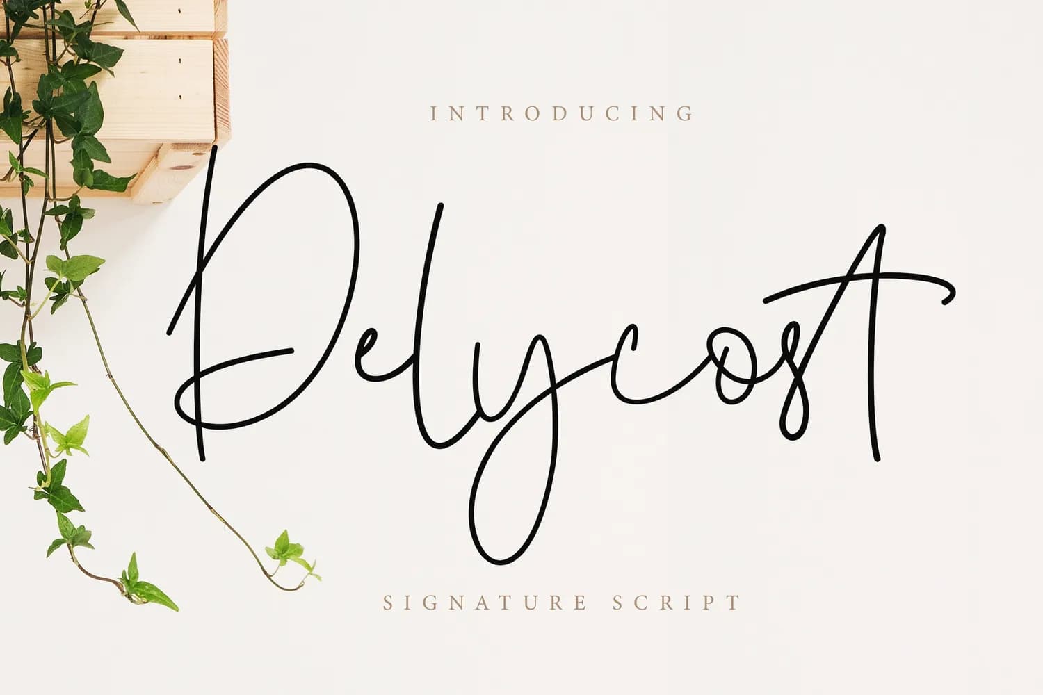 Delycost