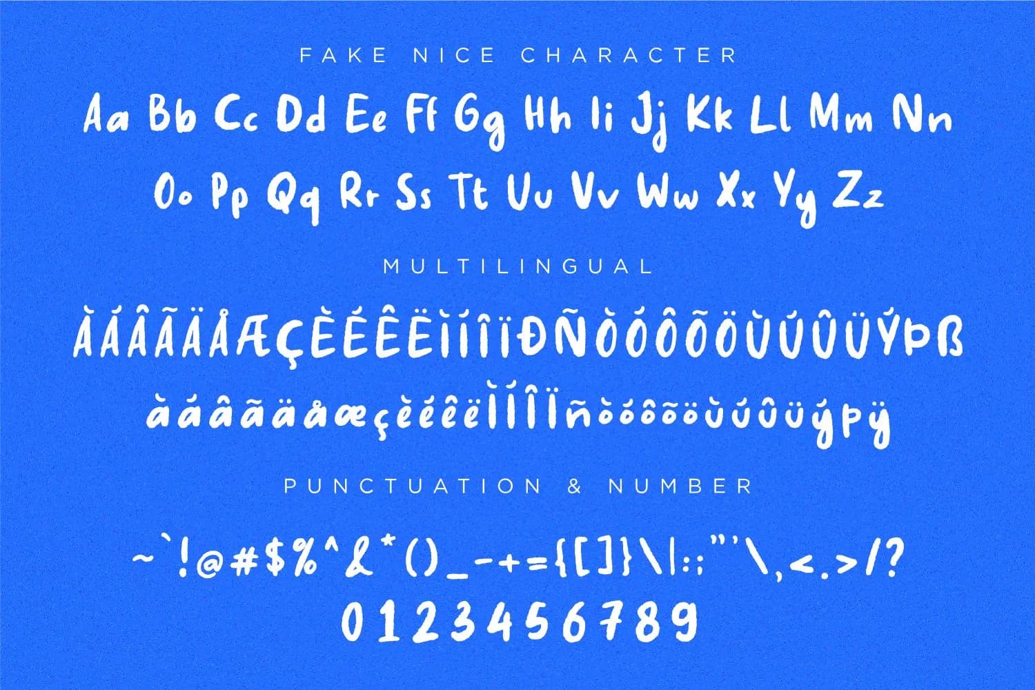 Fake Nice