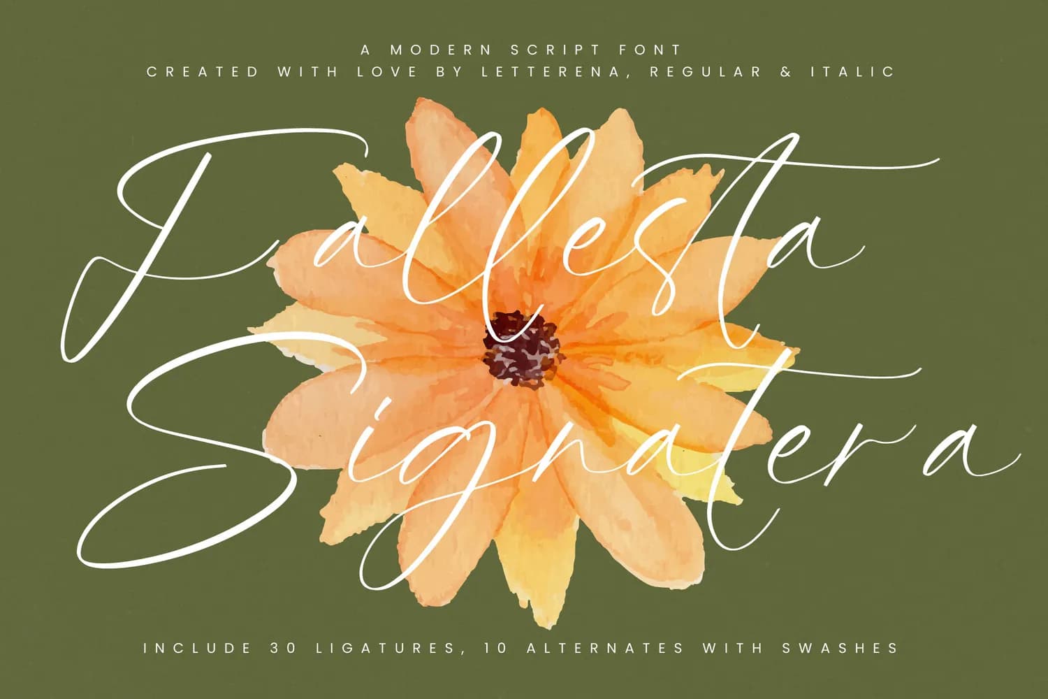 Fallesta Signatera