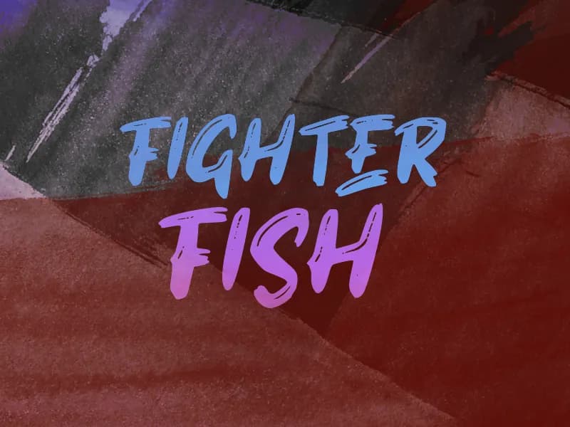 Fighter Fish