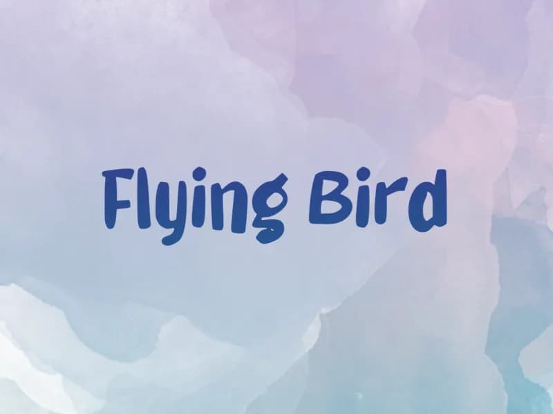 Flying Bird