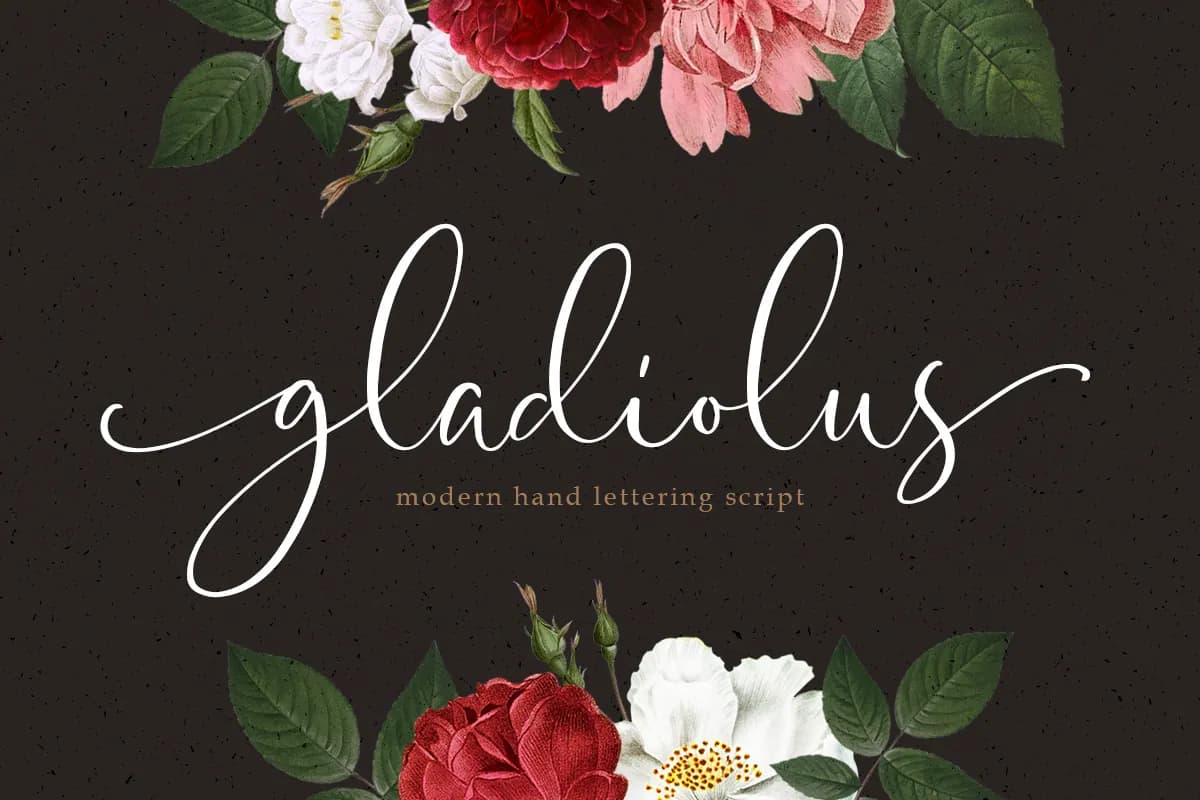 Gladiolus Script