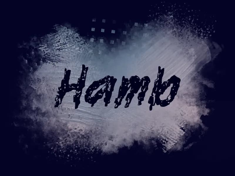 h Hamb