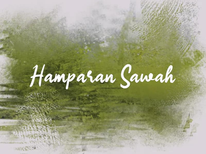h Hamparan Sawah
