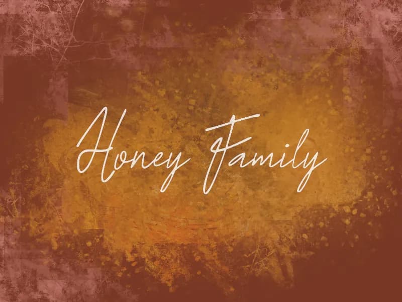 h Honey Family