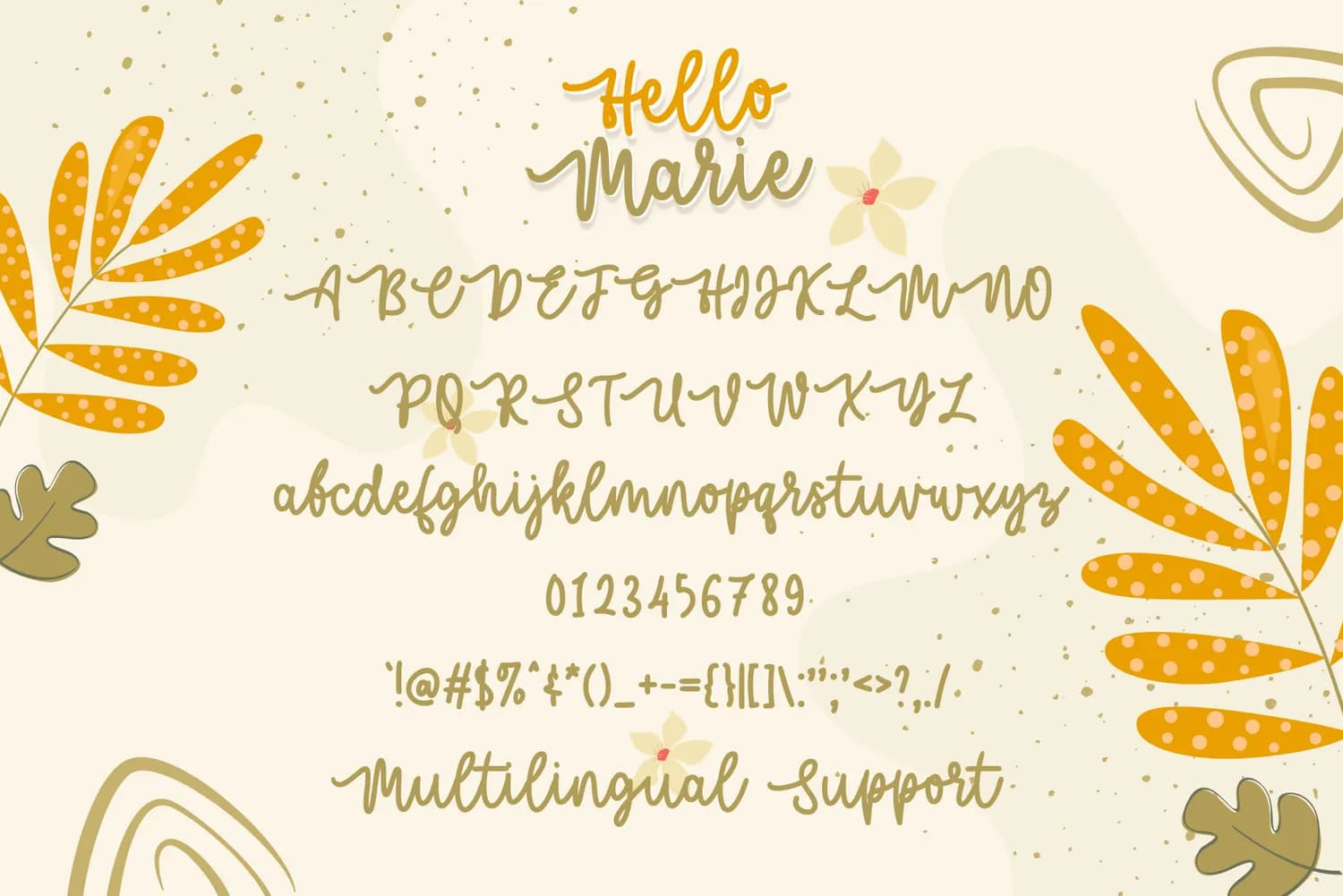 Hello Marie