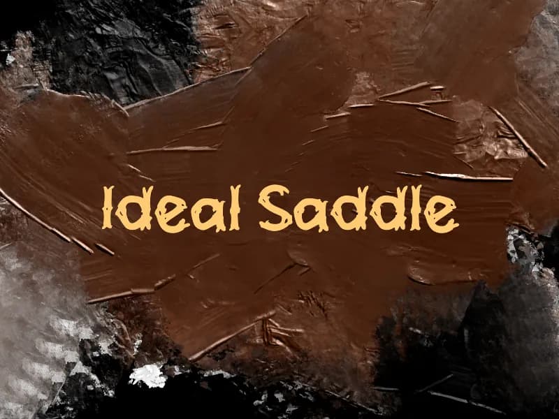 i Ideal Saddle