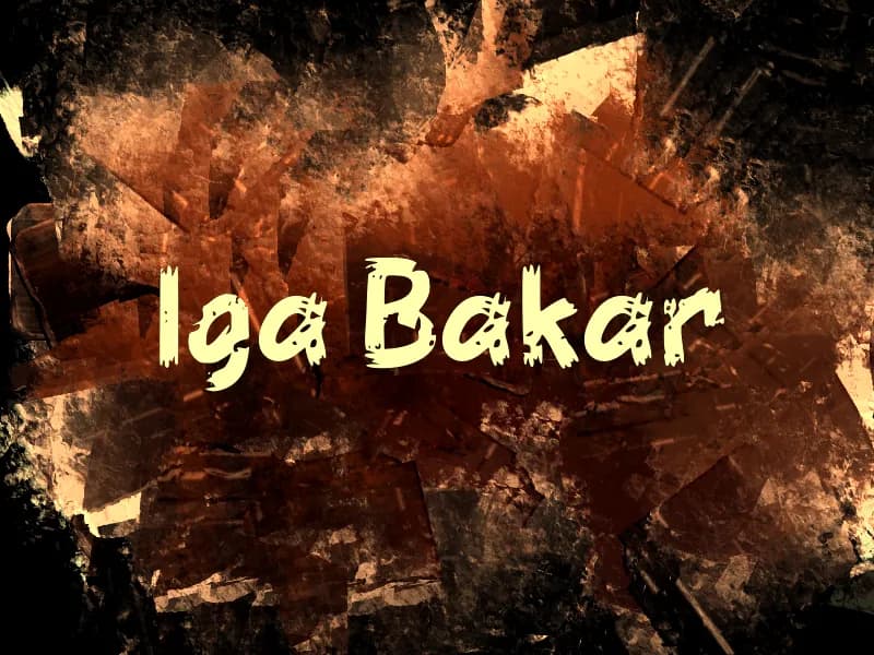 i Iga Bakar