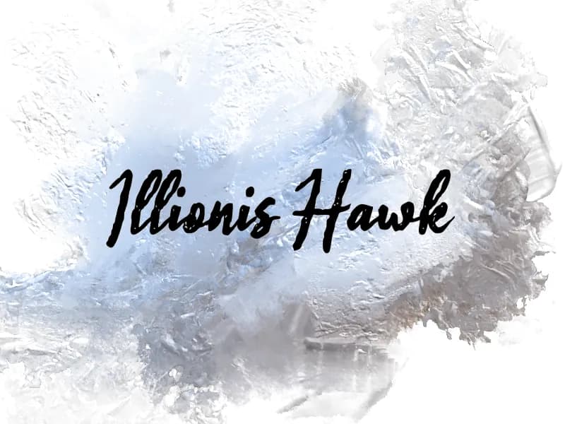 i Illinois Hawk