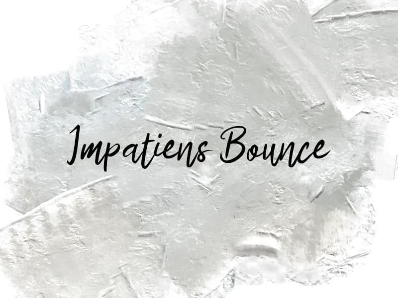 i Impatiens Bounce