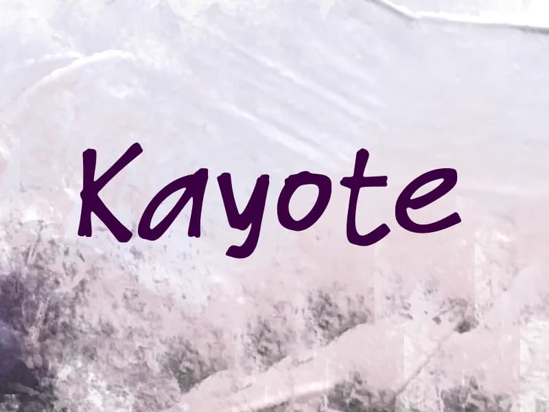K Kayote