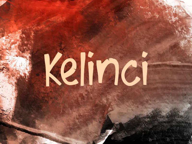 K Kelinci