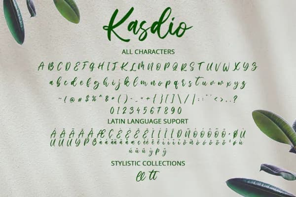 Kasdio
