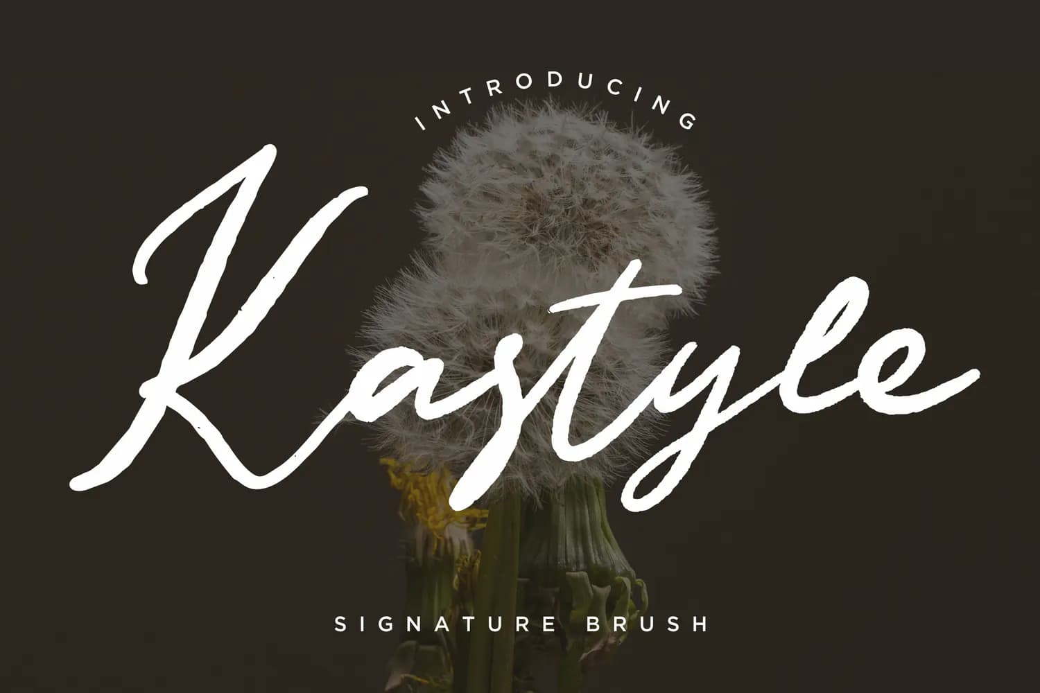 Kastyle Signature Brush