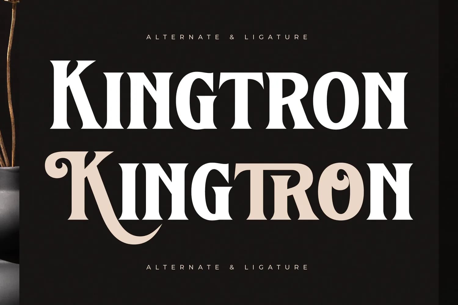 Kingtron VERSION
