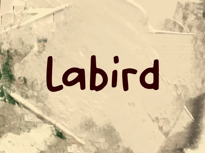 L Labird