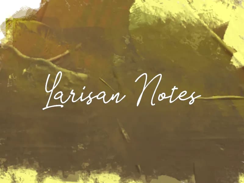 L Larisan Notes