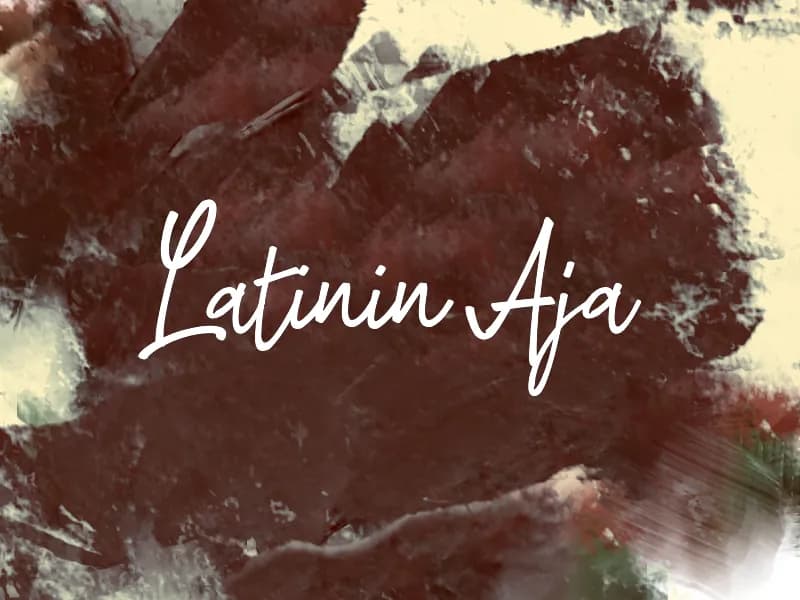 L Latinin Aja