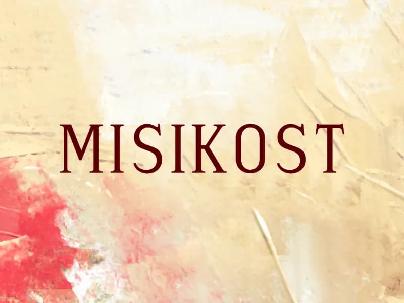 M Misikost