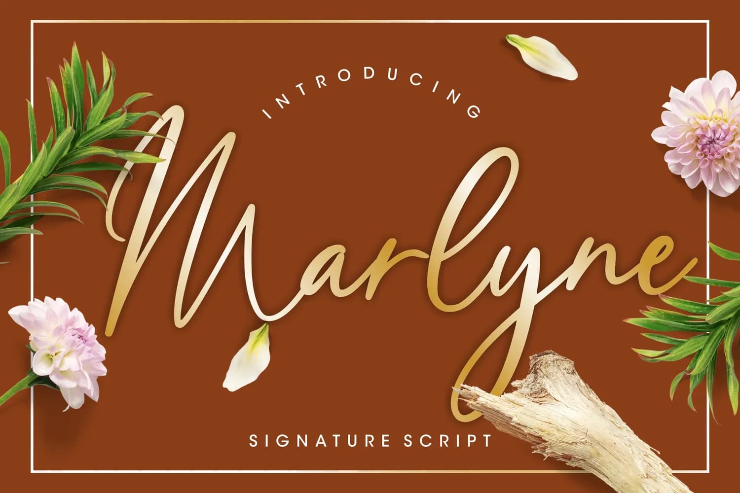 Marlyne