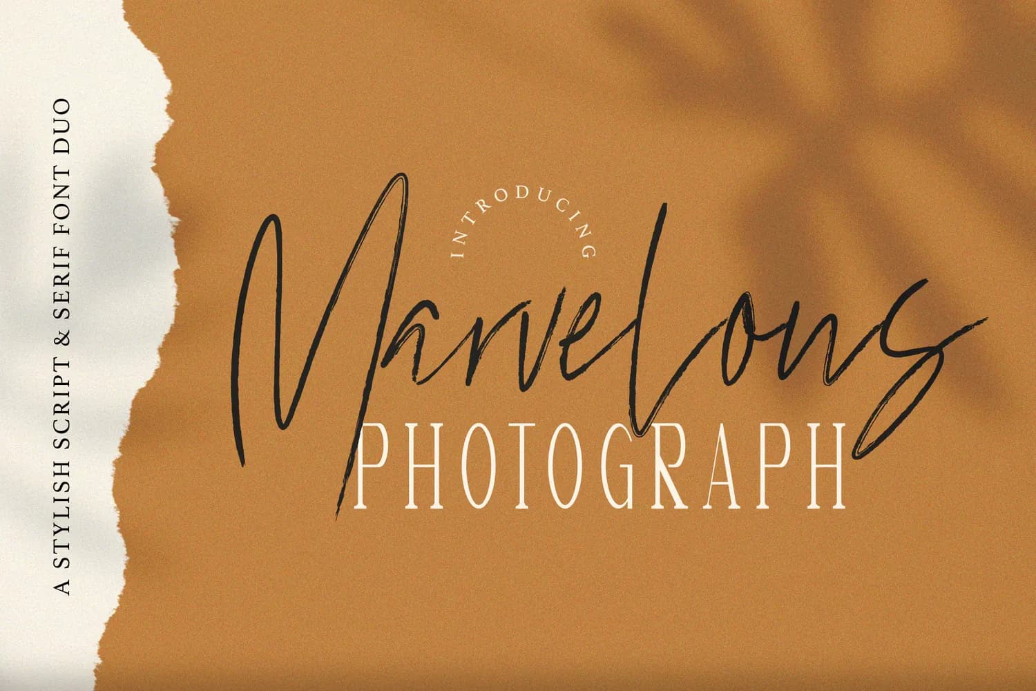 Marvelous Photograph Serif