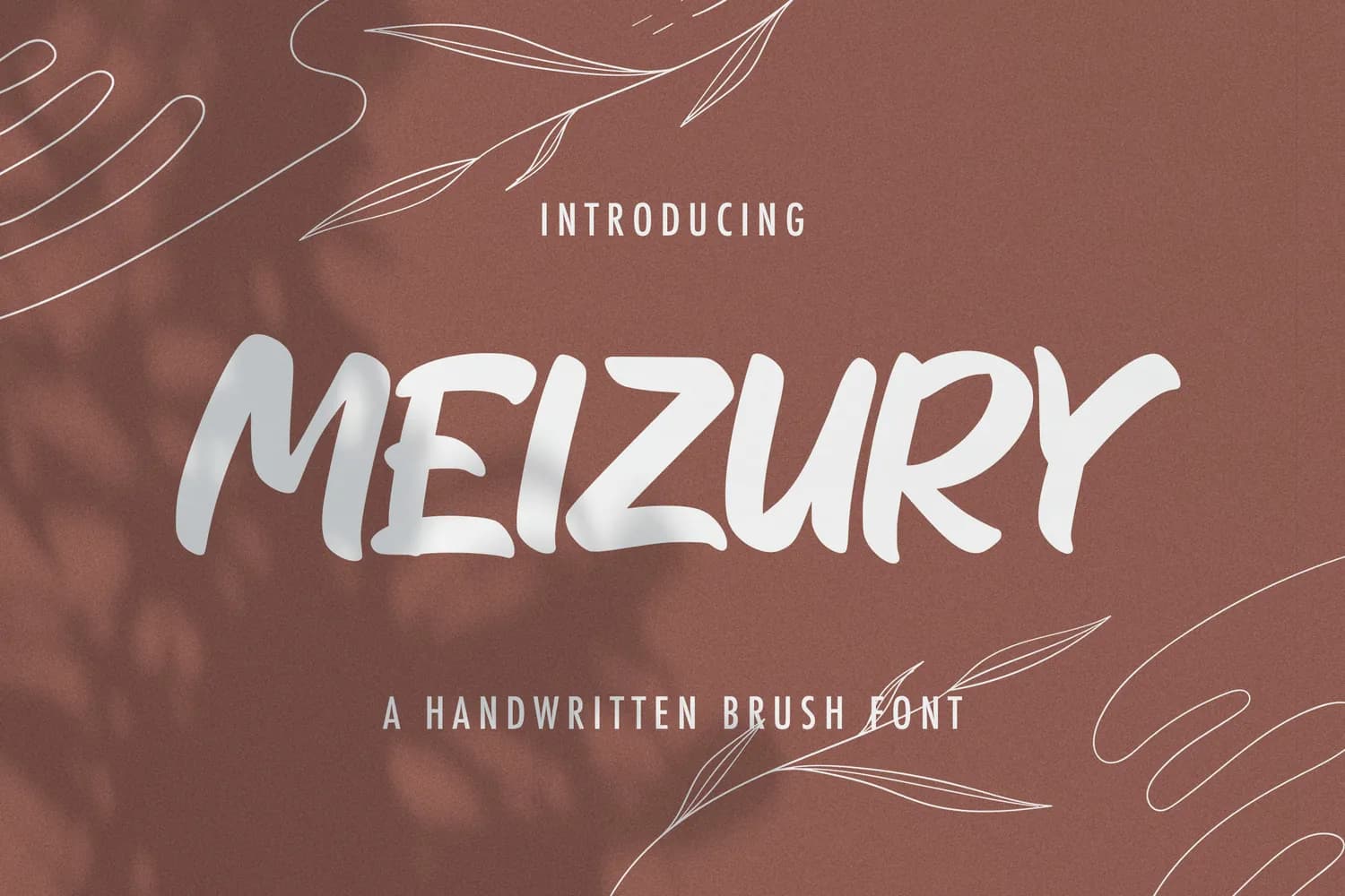MEIZURY