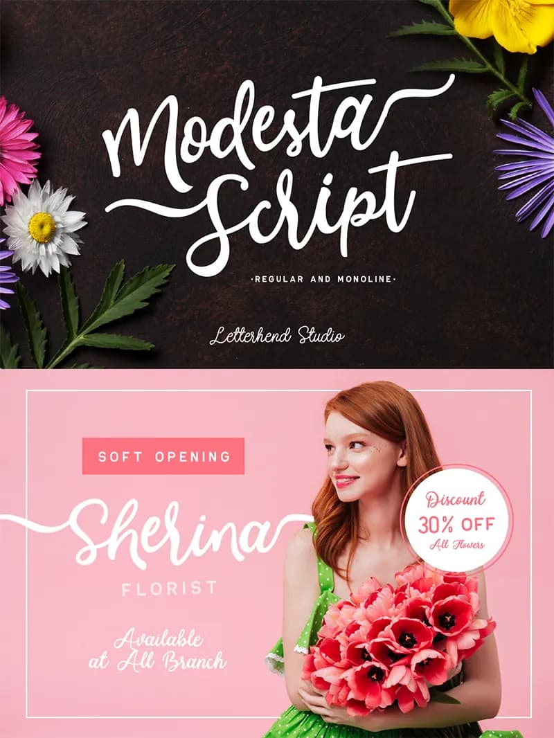 Modesta Script