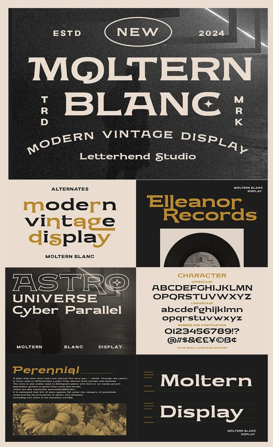 Moltern Blanc